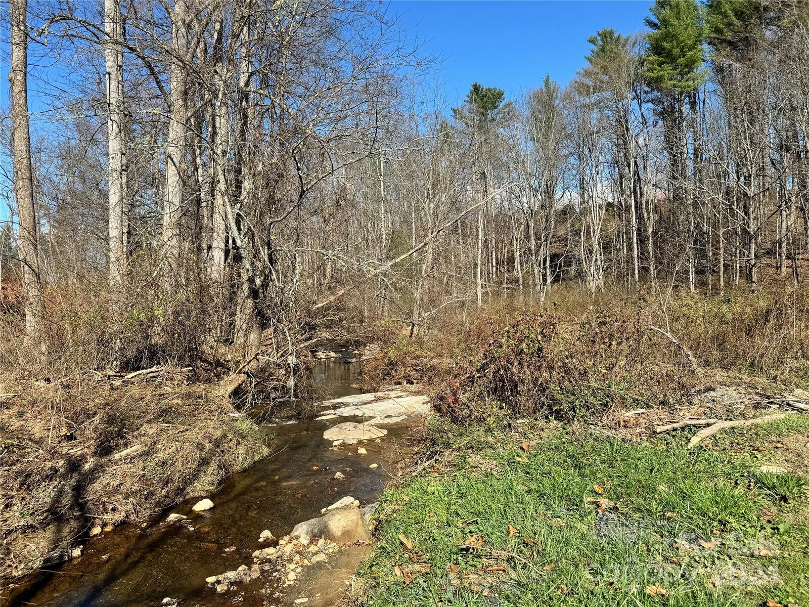 Property Photo:  9999 White Oak Road  NC 28705 