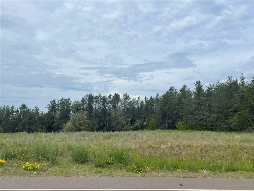 Property Photo: Lot 4 Liesch Road WI 54888