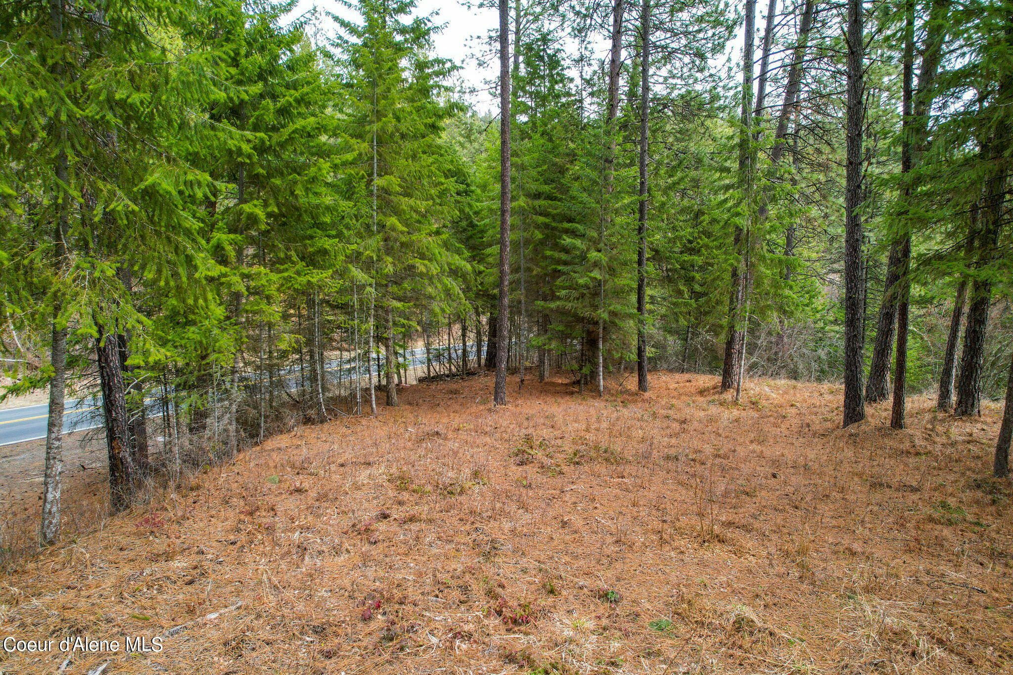 Property Photo:  Nna Highway 97  ID 83833 