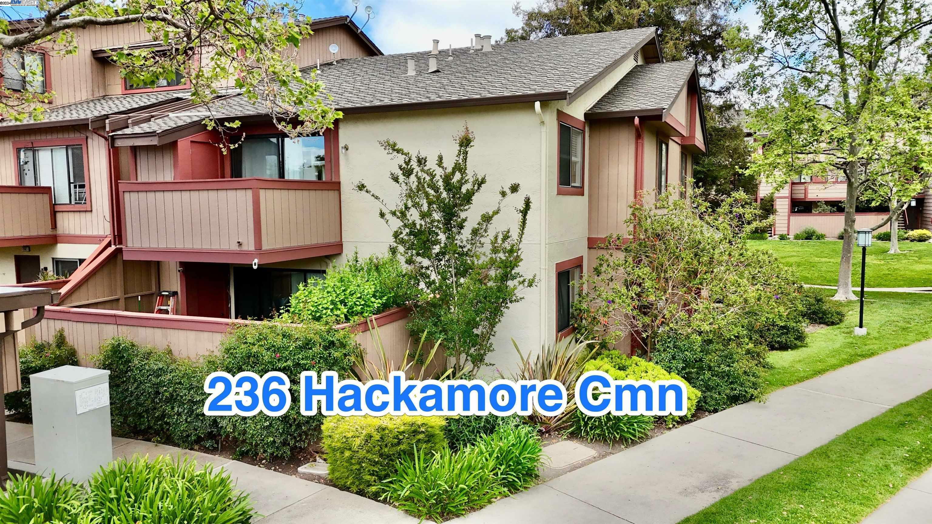 236 Hackamore Cmn  Fremont CA 94539 photo