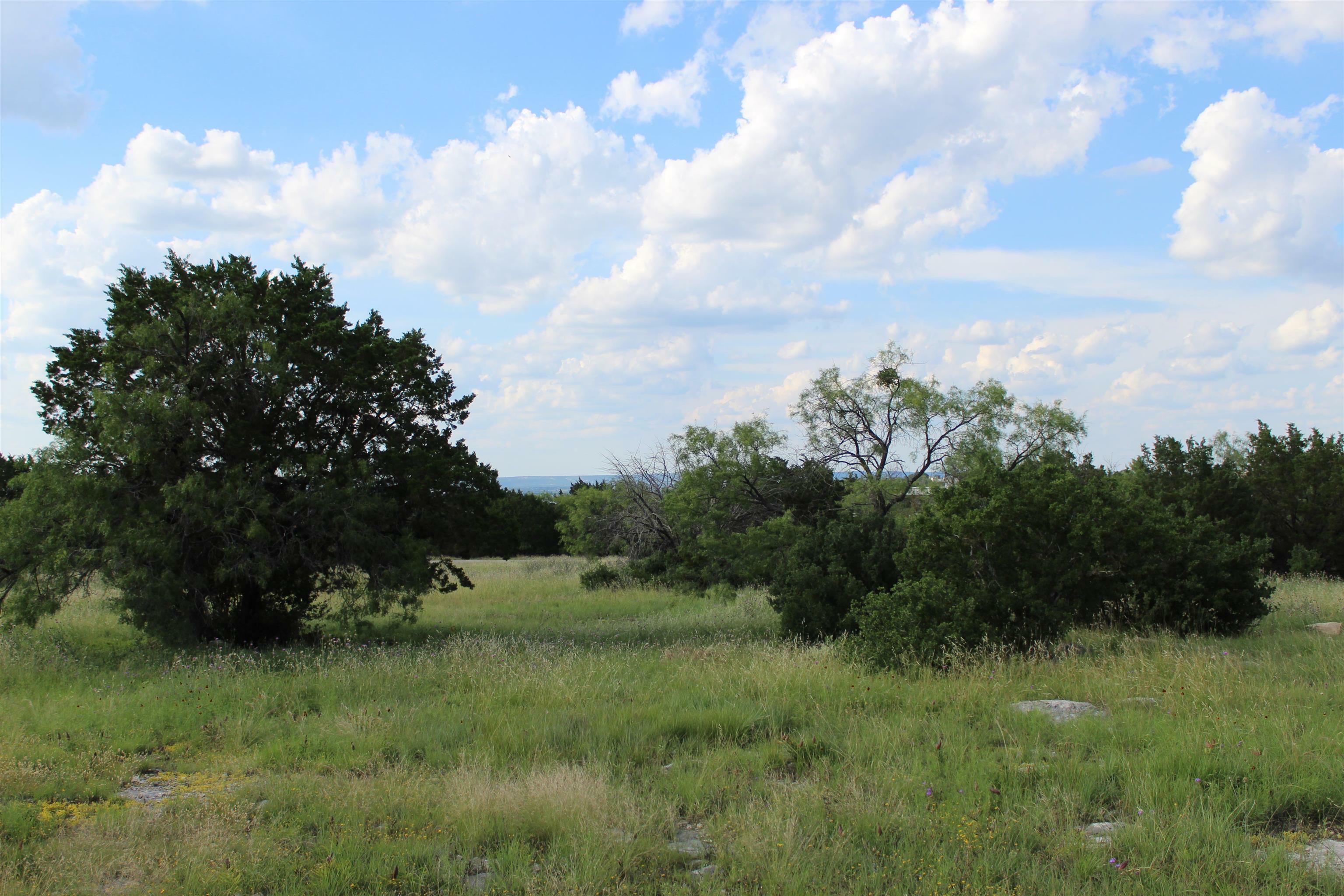 Property Photo:  Lot 22030 Long Shot  TX 78657 