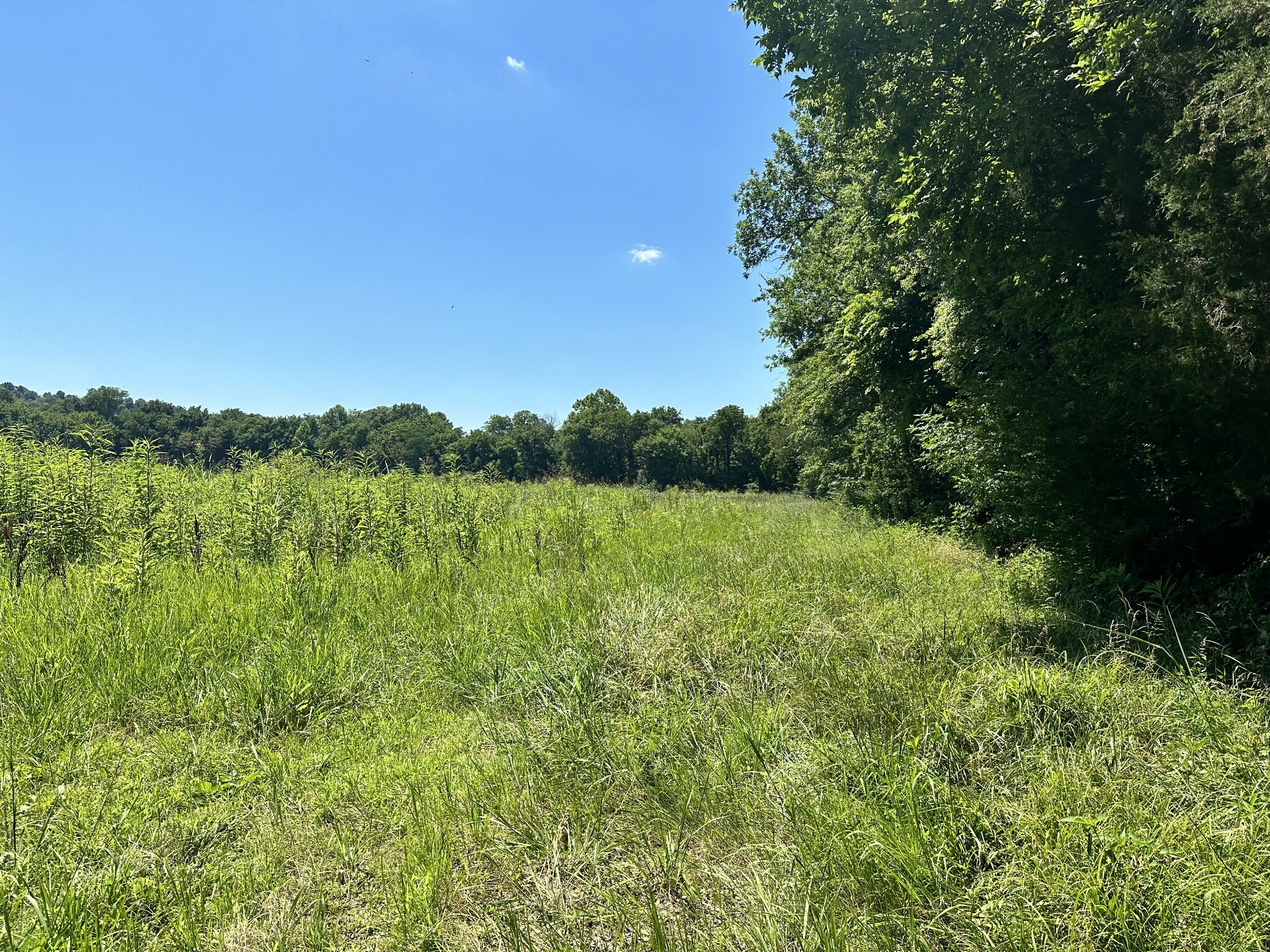 Property Photo:  0 Cedar Creek Road  TN 37096 