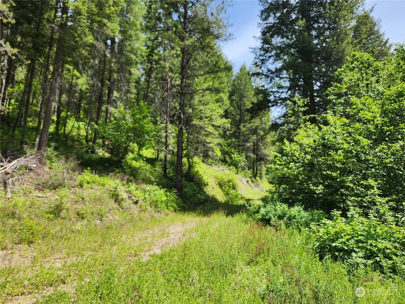 Property Photo:  0 Tbd Well Creek Road  WA 99140 