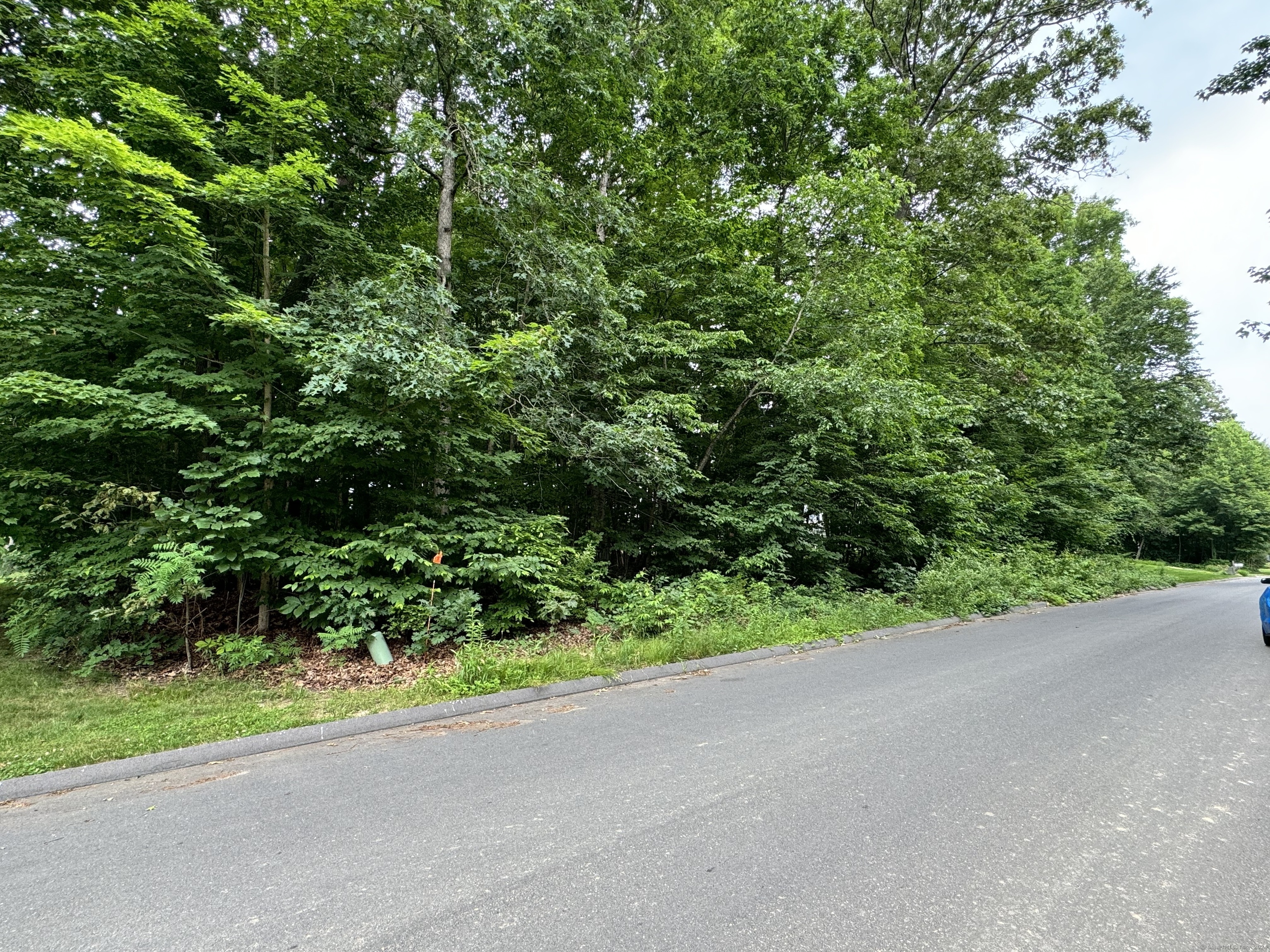 Property Photo: 54 Tall Oak Drive CT 06238