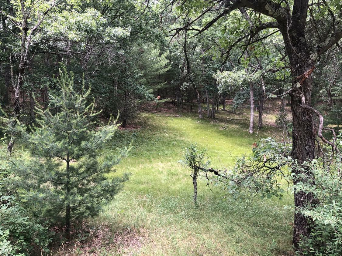 Property Photo: 0 Holton Whitehall Road MI 49461