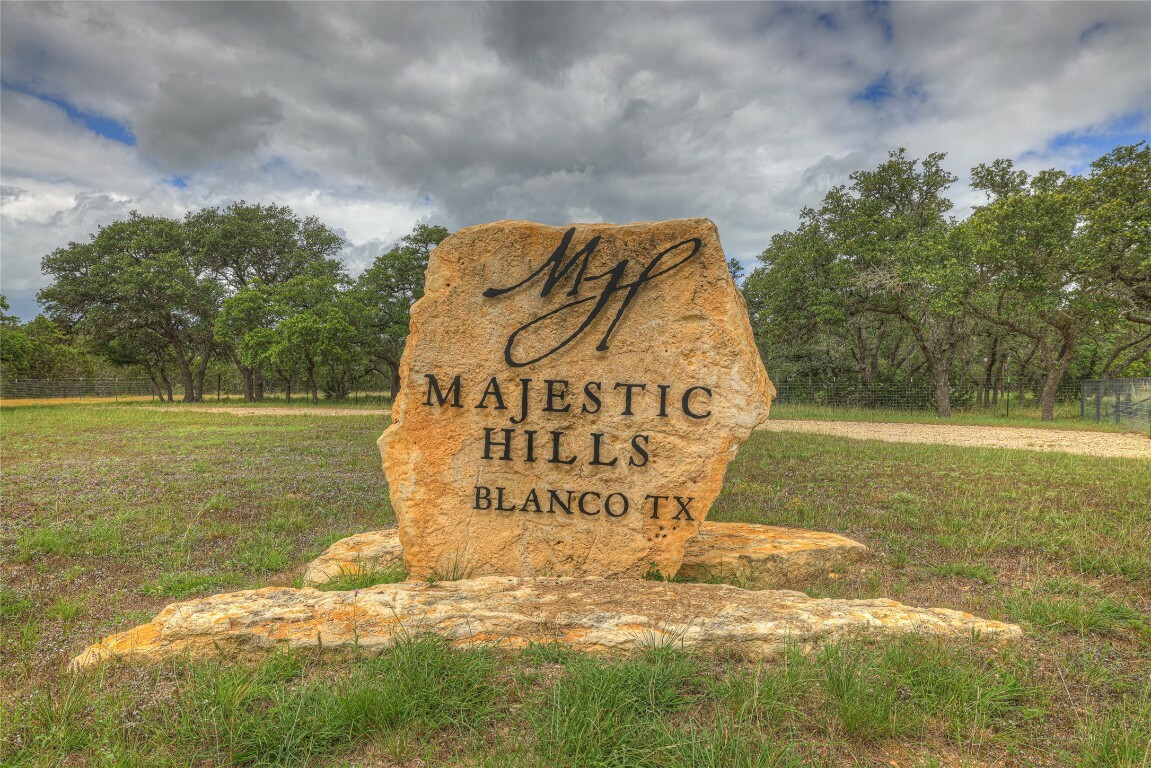 85 Majestic Hills Drive  Blanco TX 78606 photo