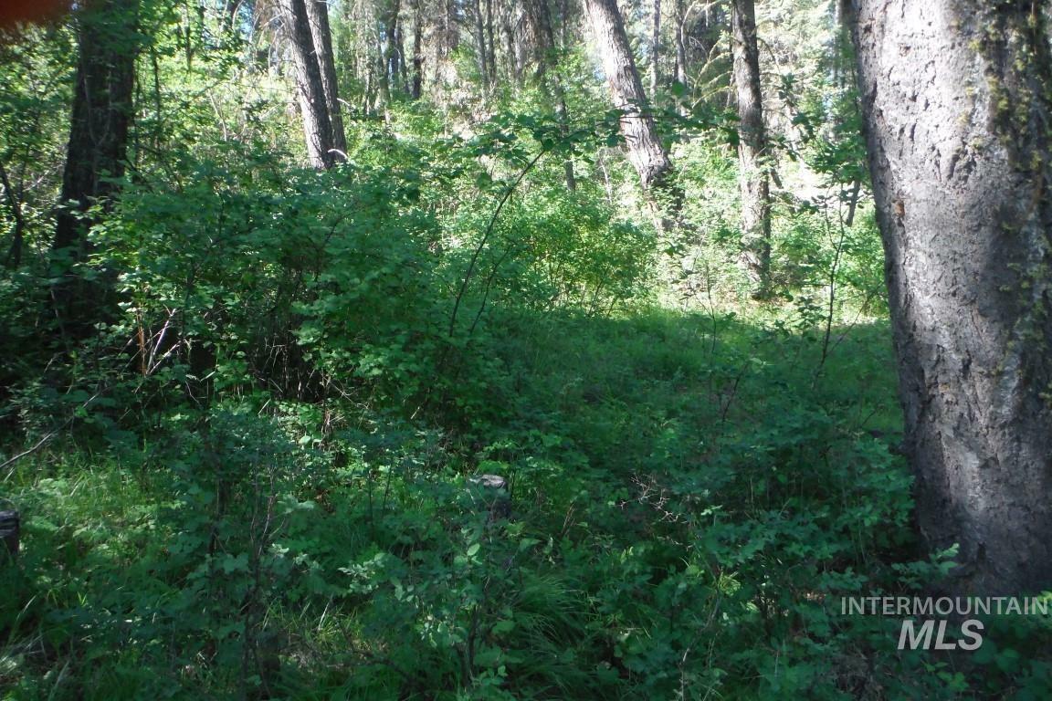 Property Photo:  10 Acre Red Fir Place  ID 83716 