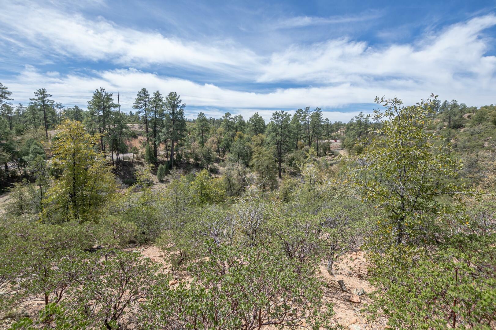 Property Photo:  2501 E Feather Plume Court  AZ 85541 