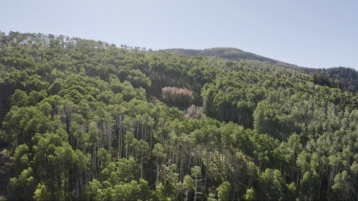 Property Photo:  78.75 Acres  UT 84719