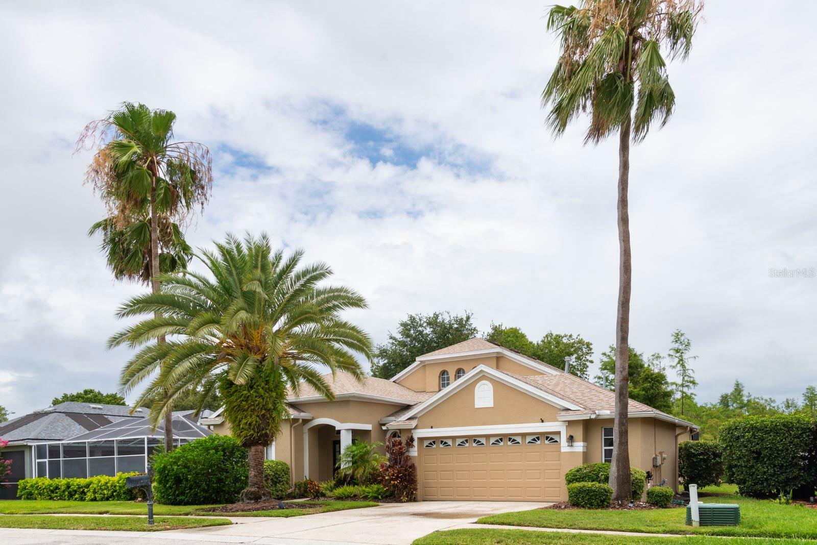 Property Photo:  8729 Torchwood Drive  FL 34655 