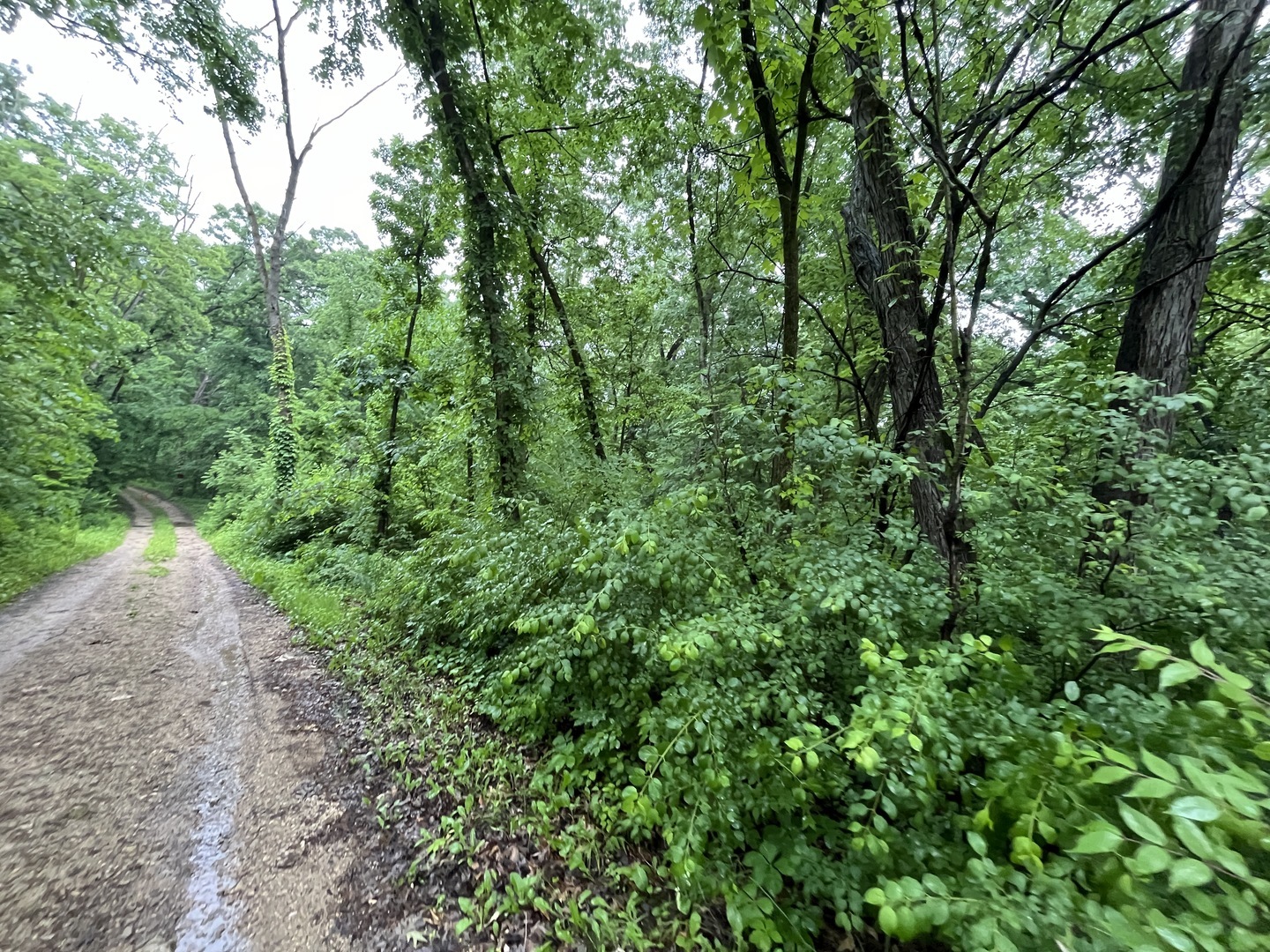 Property Photo:  Lot 1 Bayberry Drive  IL 61073 