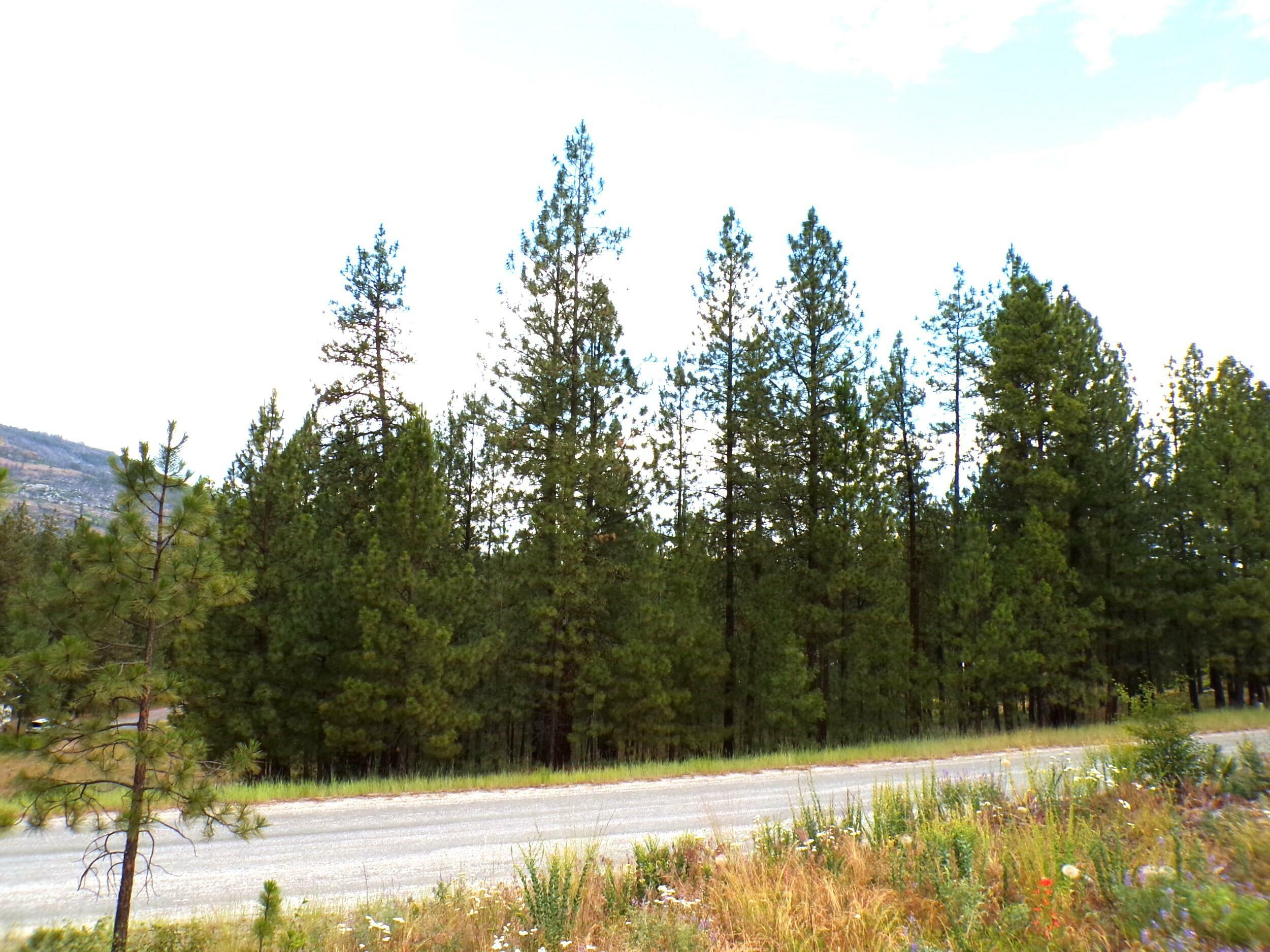 Property Photo: 1185 Fumi Cir WA 99141