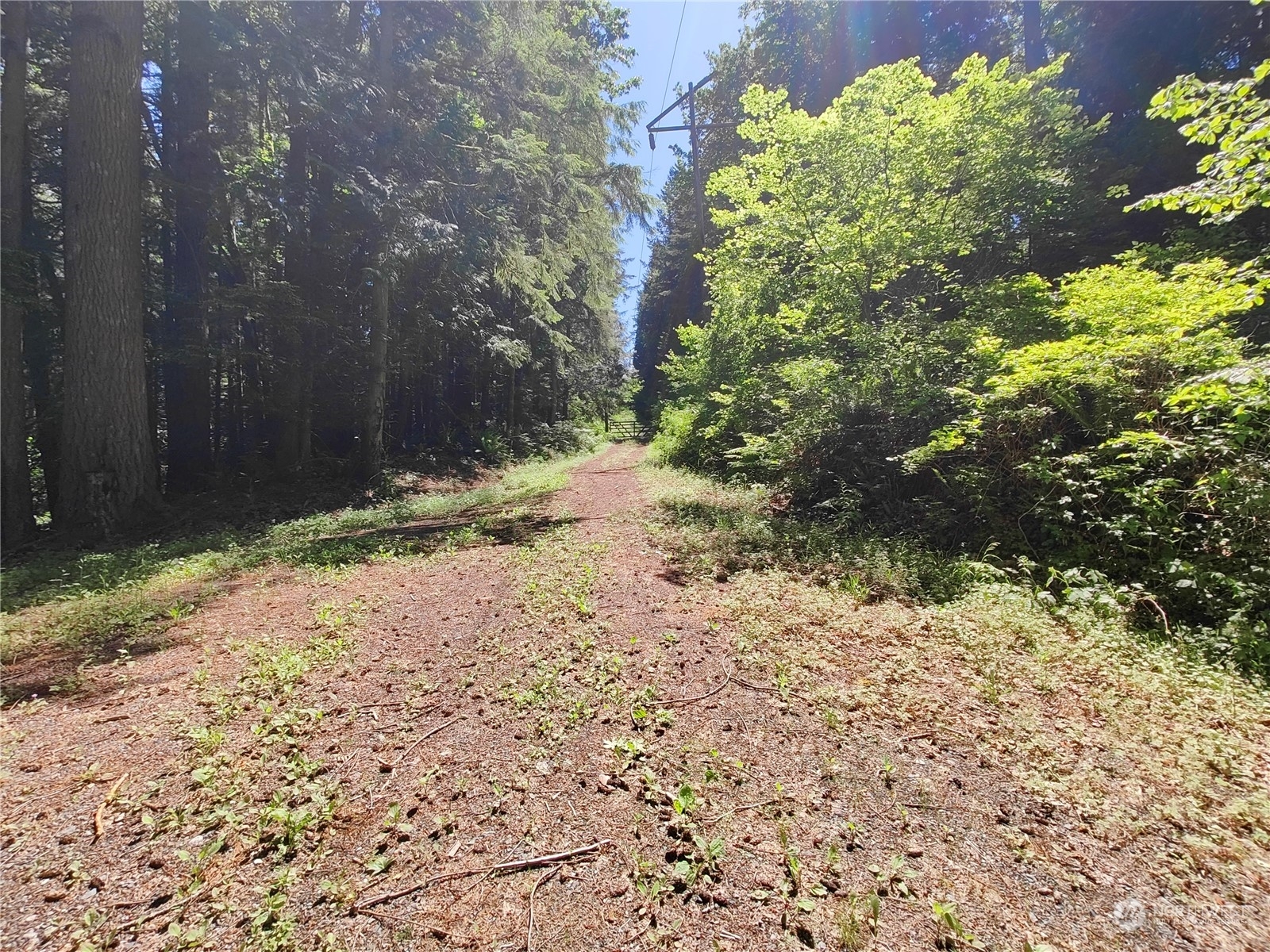 Property Photo: 0 Xxxx Cedar Falls Avenue SE WA 98045