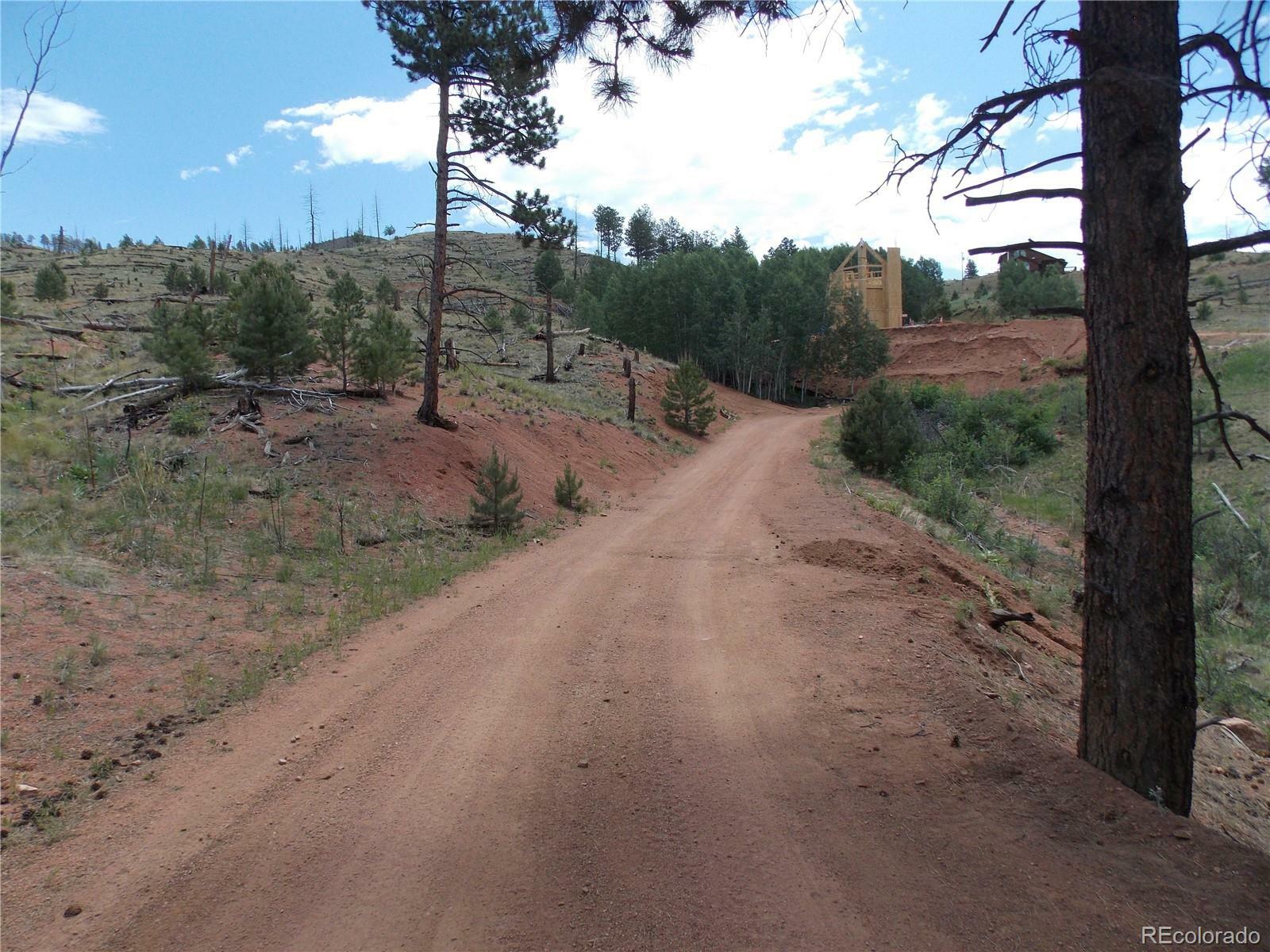 Property Photo:  14691 Crooked Trail Road  CO 80863 