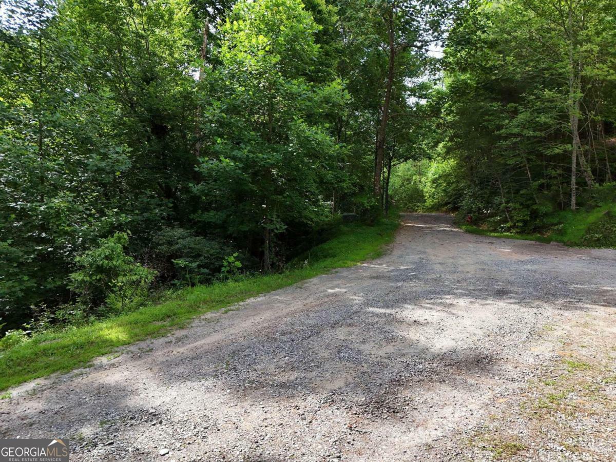 Property Photo:  Lot 25 Toccoa Preserve Court  GA 30513 