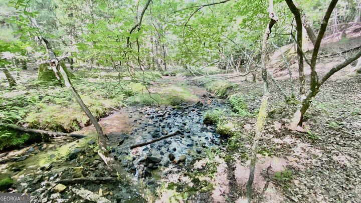 Ll322 Warnock Mountain Acres Lane  Blairsville GA 30512 photo