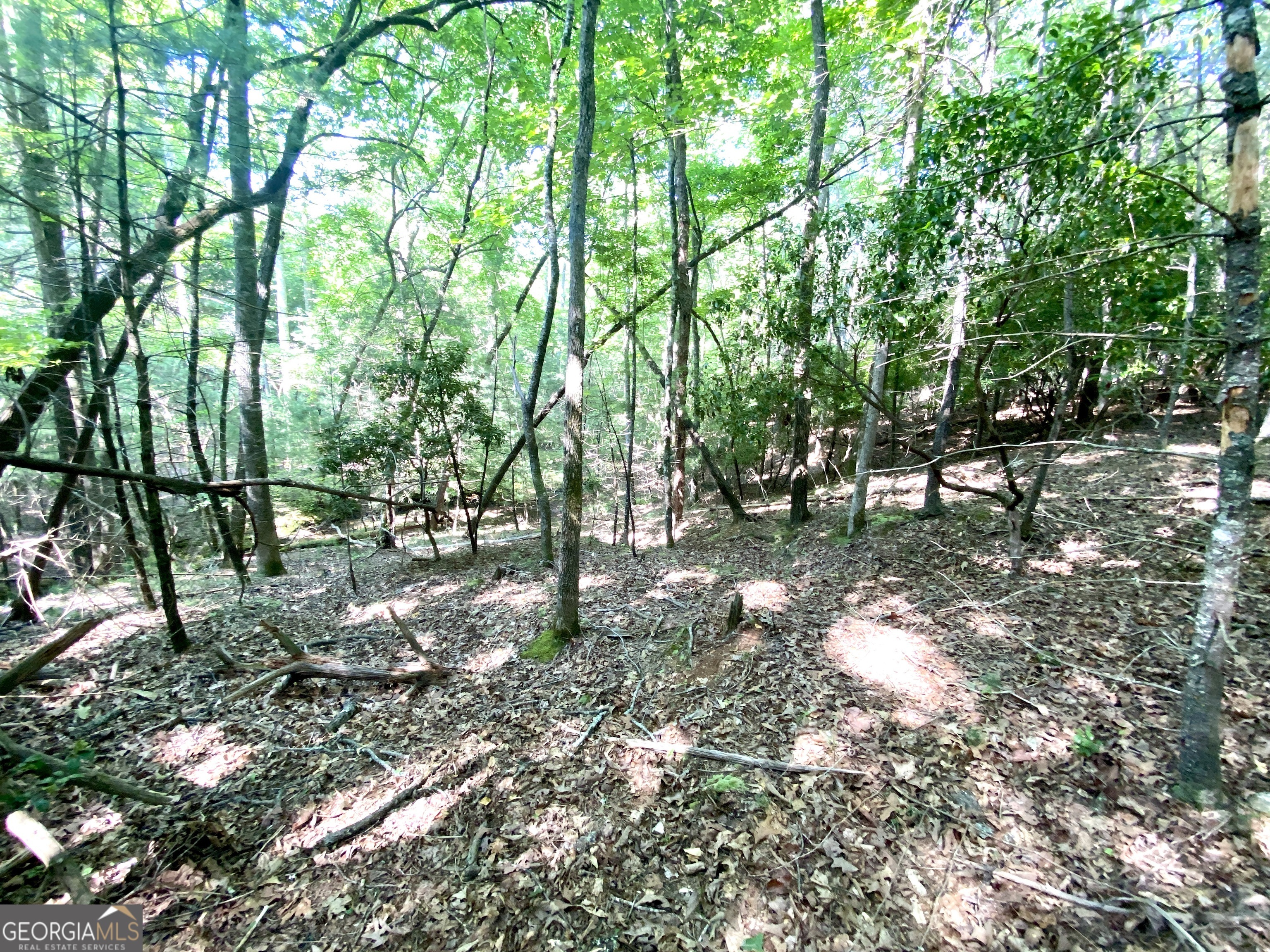 Property Photo:  Ll322 Warnock Mountain Acres Lane  GA 30512 