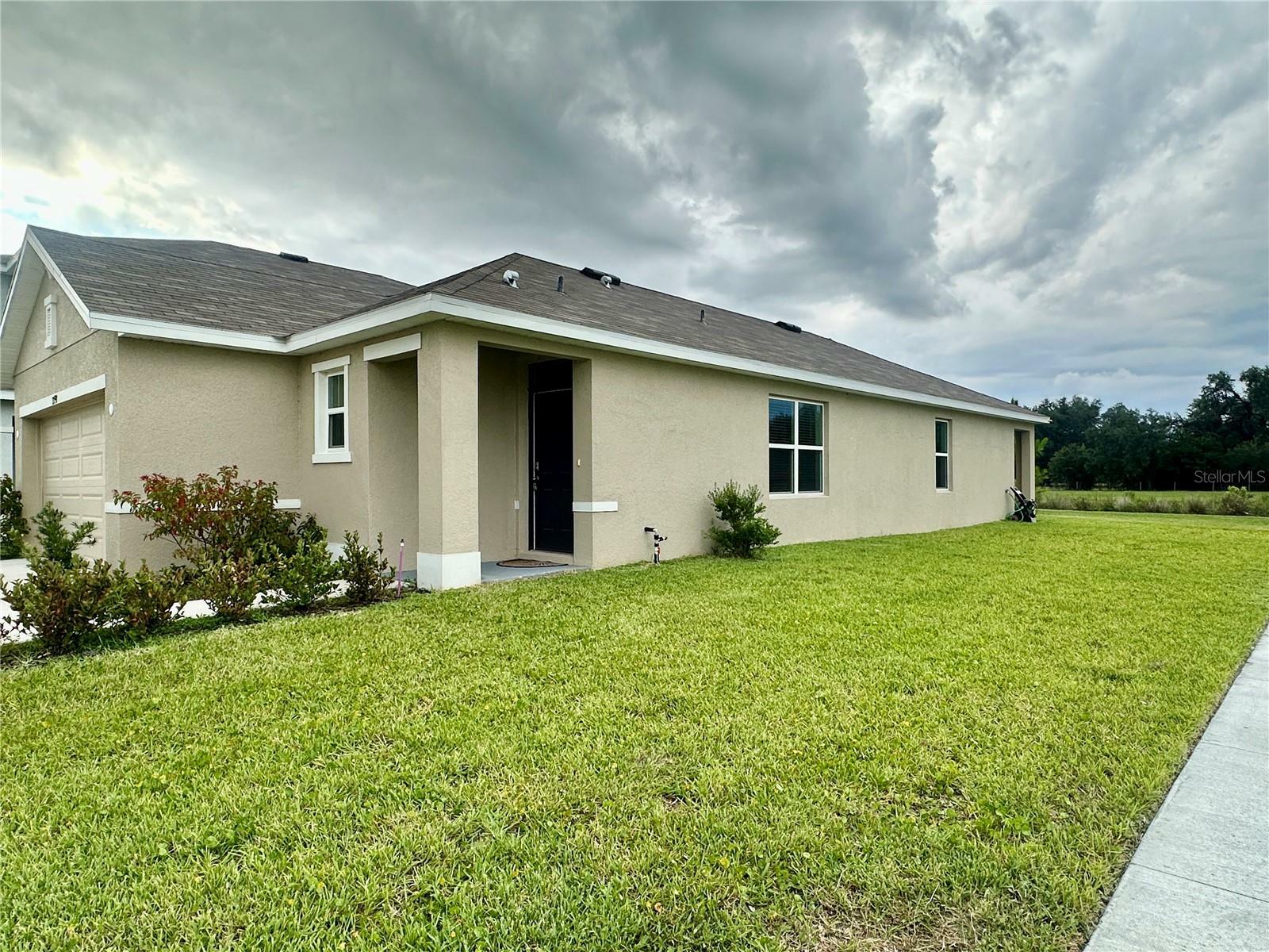 33593 Apricot Tree Court  Wesley Chapel FL 33543 photo