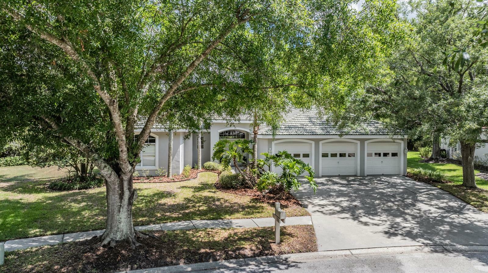 Property Photo: 9313 Cypress Bend Drive FL 33647