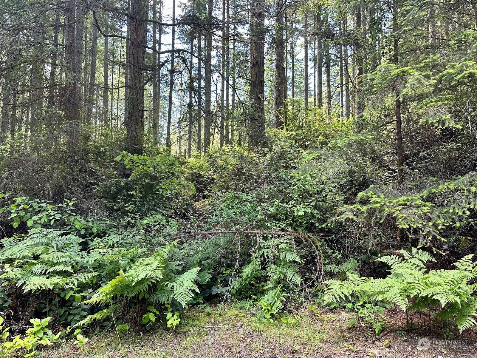 Property Photo:  11402 Aqua Place  WA 98303 