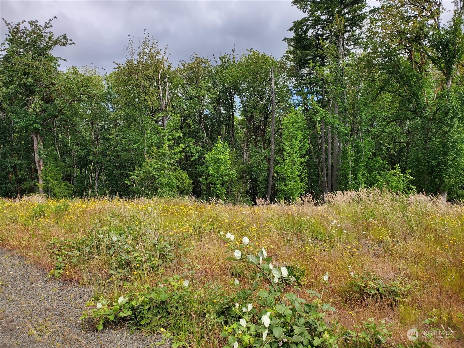 Property Photo:  911 SE Mill Creek Road  WA 98584 