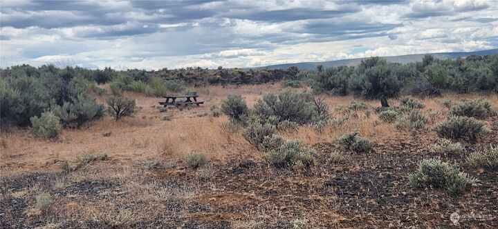 Property Photo:  0  Lot 10 Cactus Court  WA 98823 