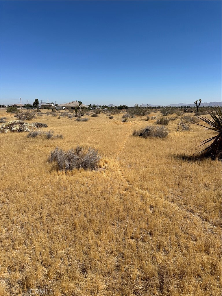 Property Photo:  0 Unknown Near Kiowa  CA 92308 