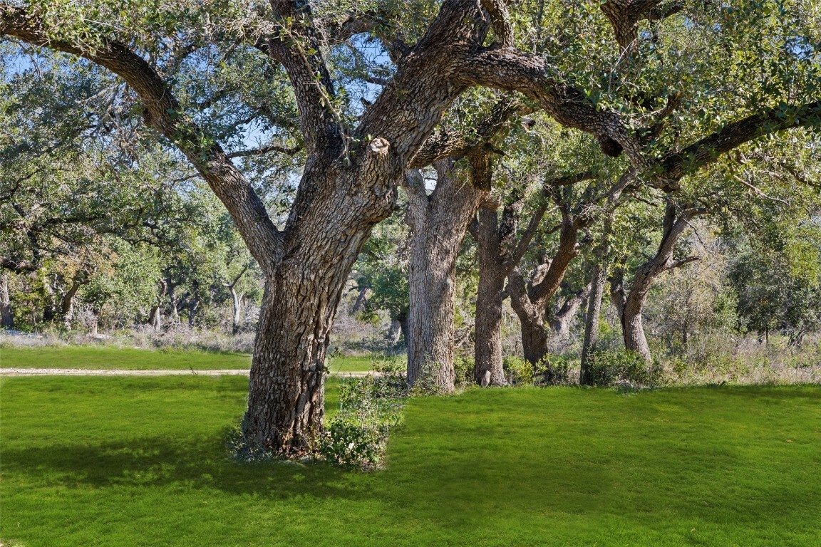 Property Photo:  7312 Ranch Rd 12 B Road  TX 78666 