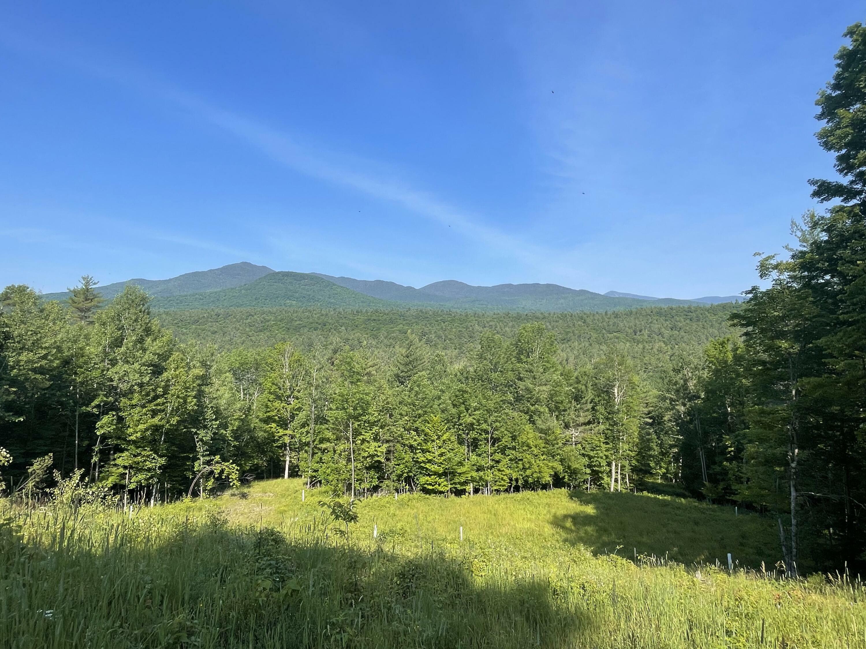 Property Photo:  11858 State Route 9  NY 12987 