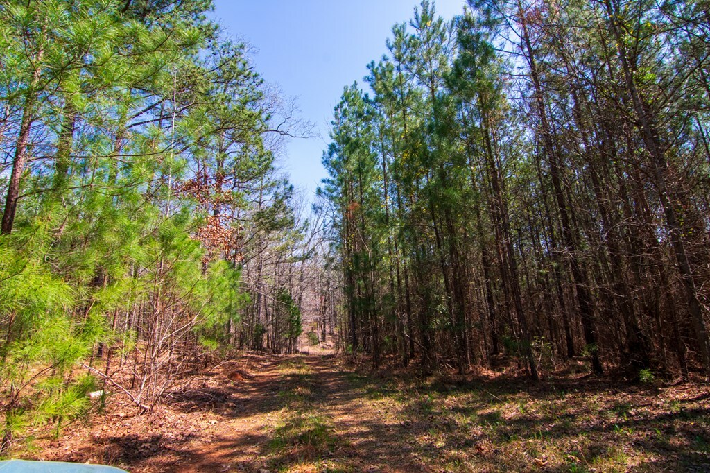 Property Photo:  0B Taylor Road  GA 31811 