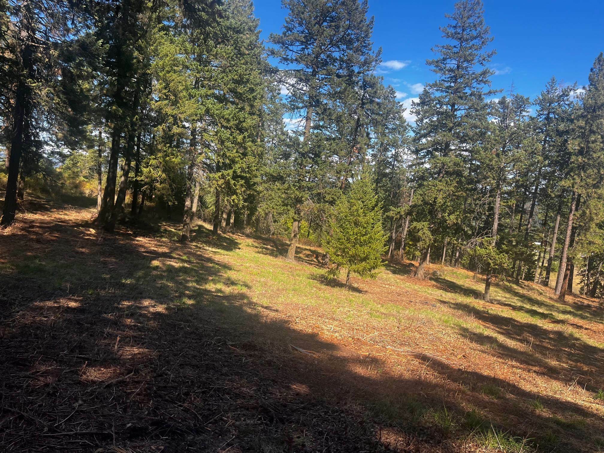 Property Photo:  Xxx Horseshoe Lake Rd  WA 99006 