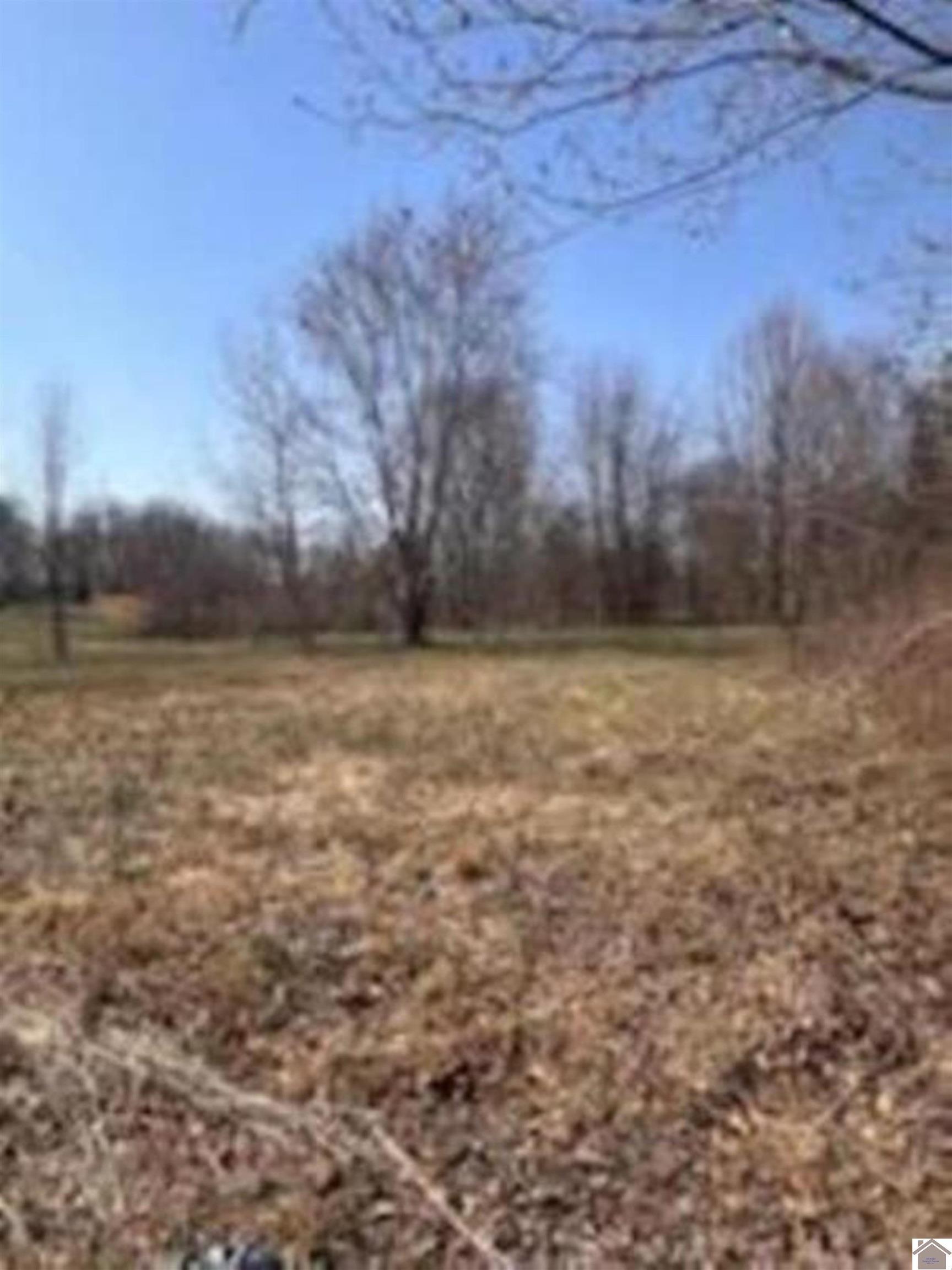 Property Photo: 739 Armstrong Rd KY 42081