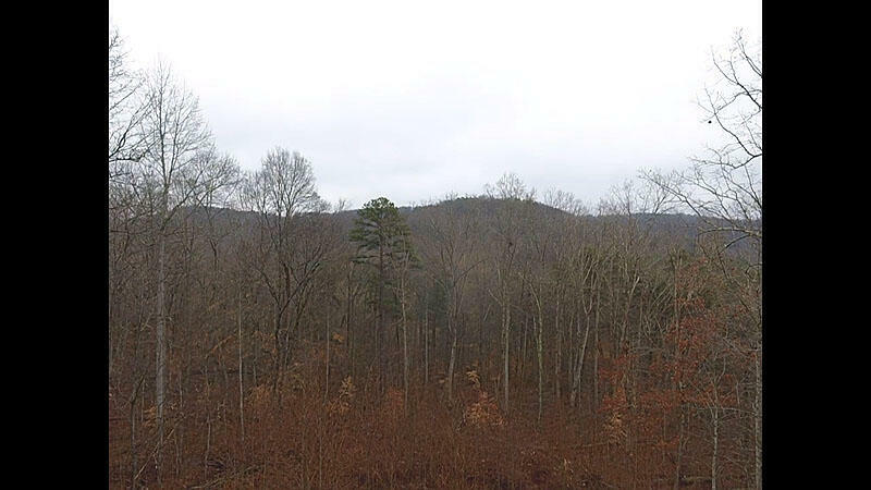 Property Photo:  Lot 20 Haynes Knob Road  KY 42501 