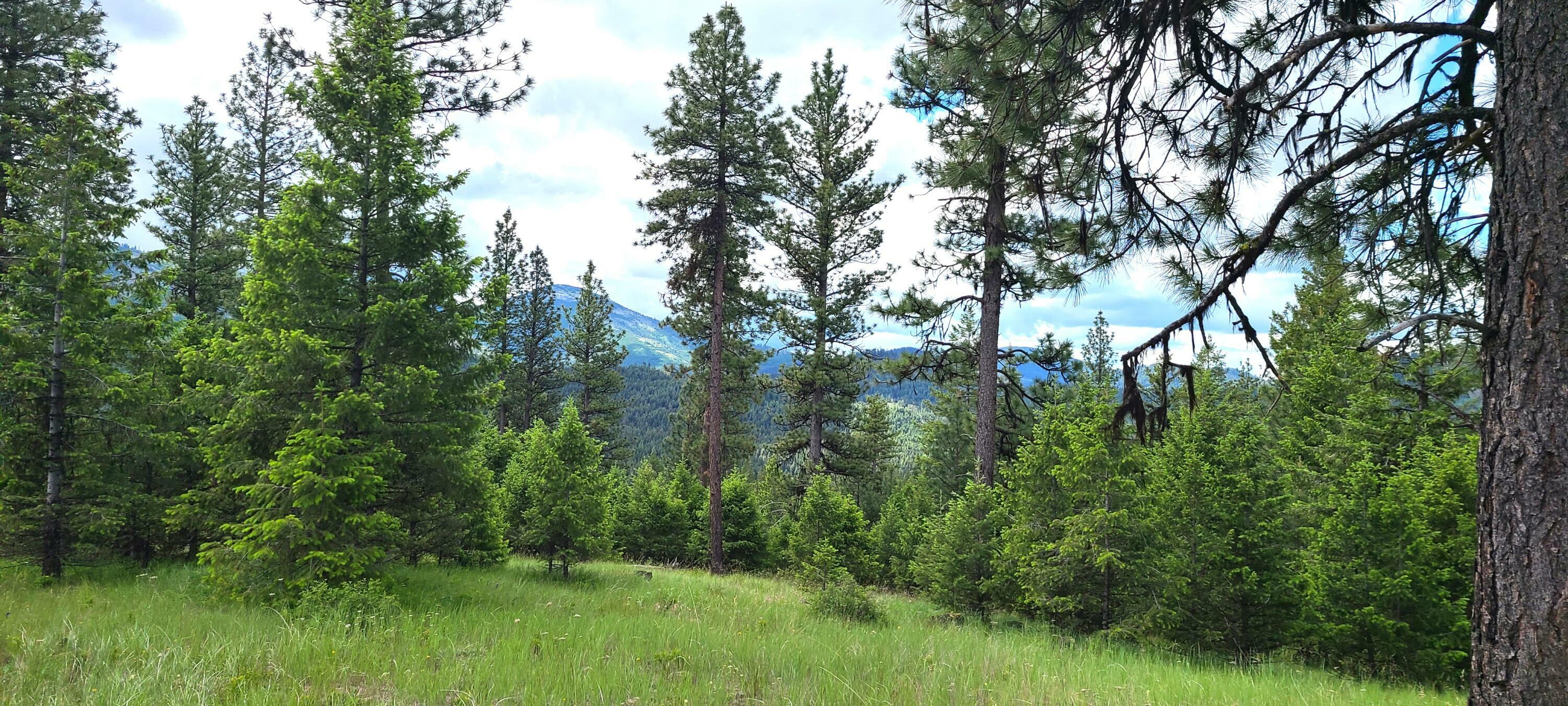 Property Photo:  Tbd Old Kettle Falls Rd  WA 99166 