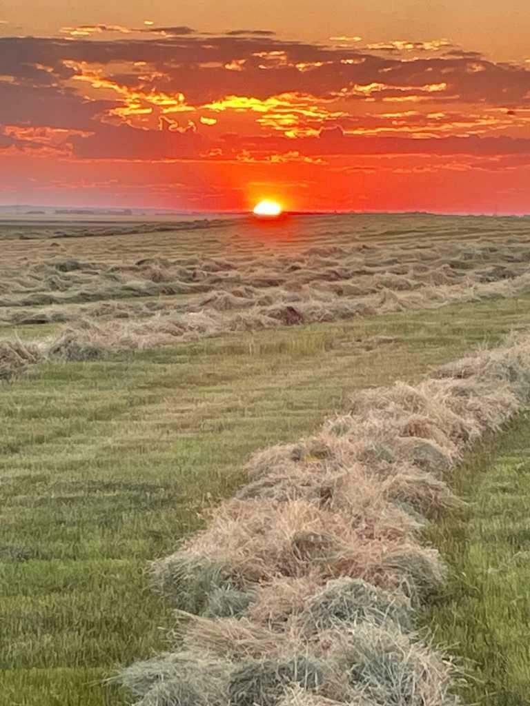 Photo de la propriété:  Hwy 23  AB T0L 0J0 