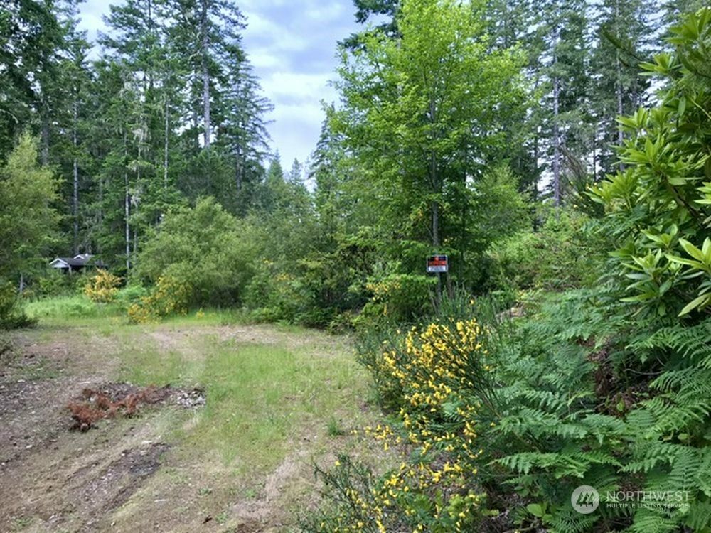 Property Photo: 161 E Coon Drive N WA 98528