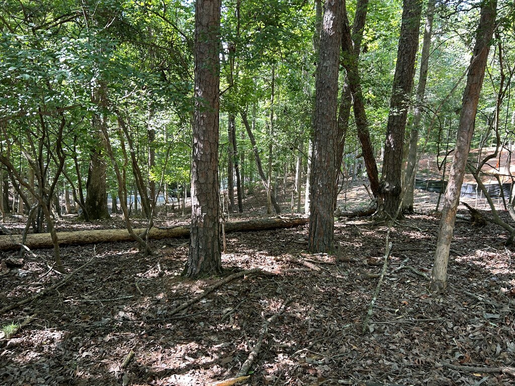 Property Photo:  Lt 640 Cypress Circle  GA 30540 