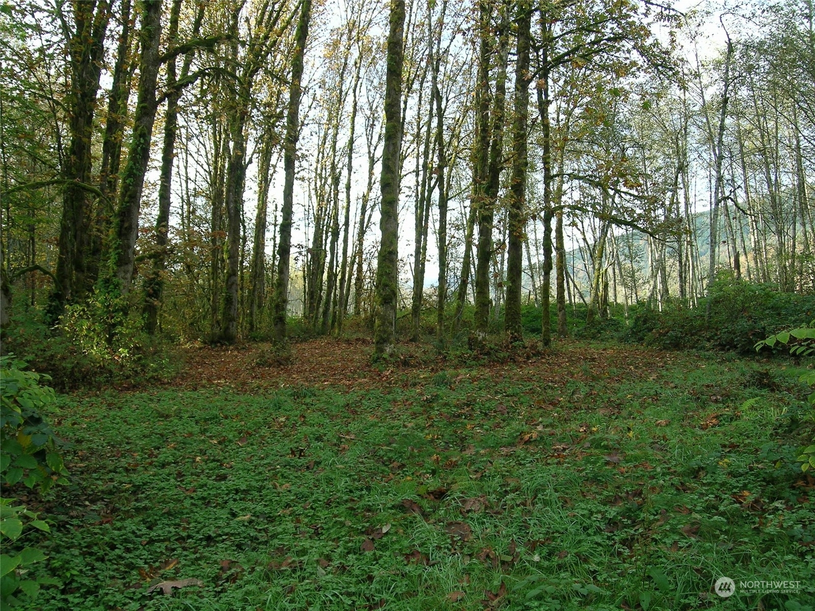 Property Photo:  5973 North Fork Rd  WA 98244 