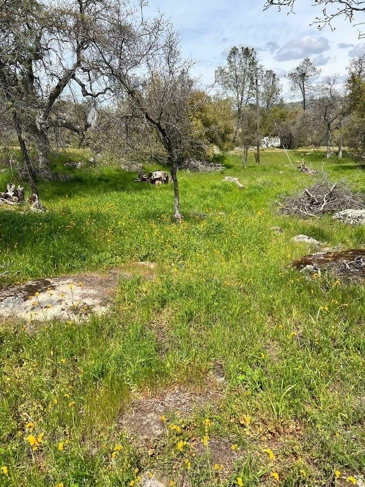 Property Photo:  0 John Muir Drive  CA 93614 