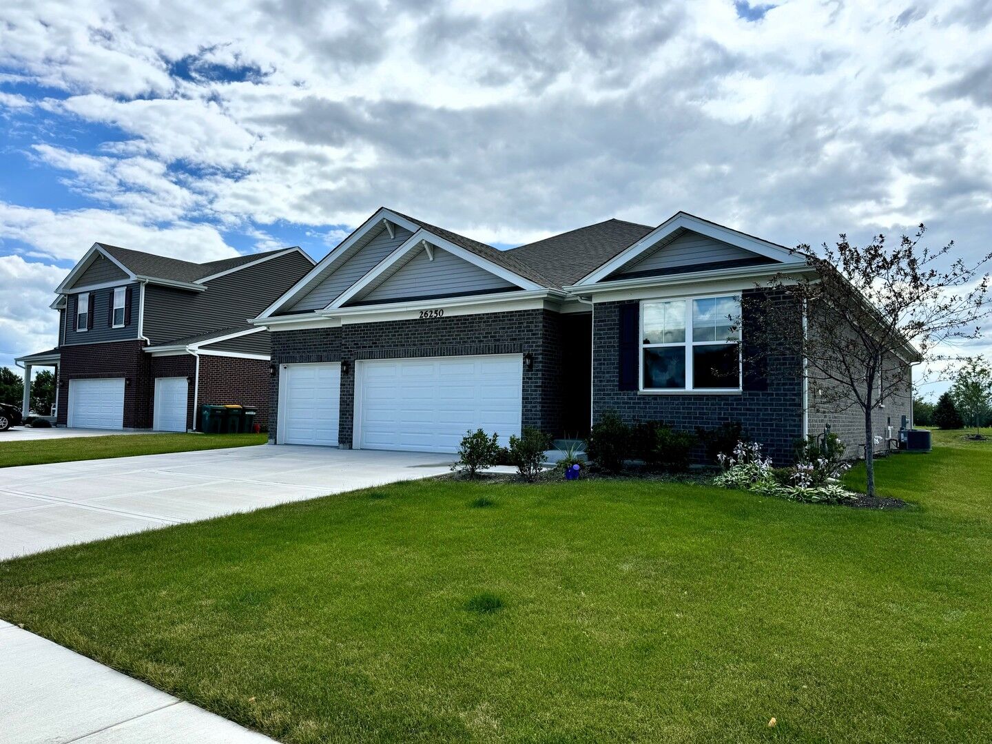 Property Photo: 26250 S Castle Boulevard IL 60442