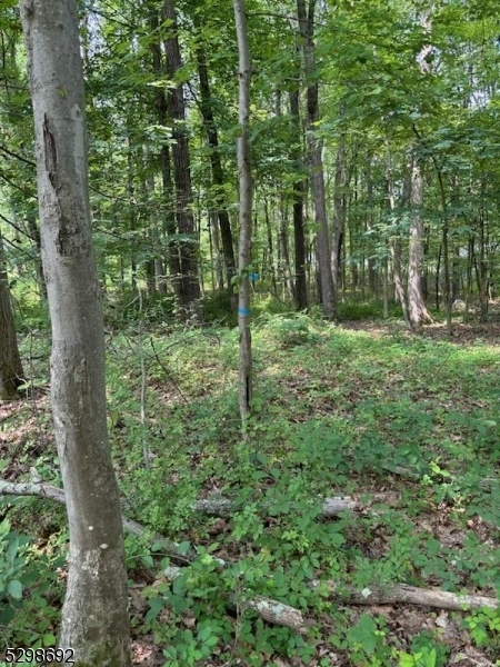 Property Photo:  0 Kings Hwy  NJ 07853 