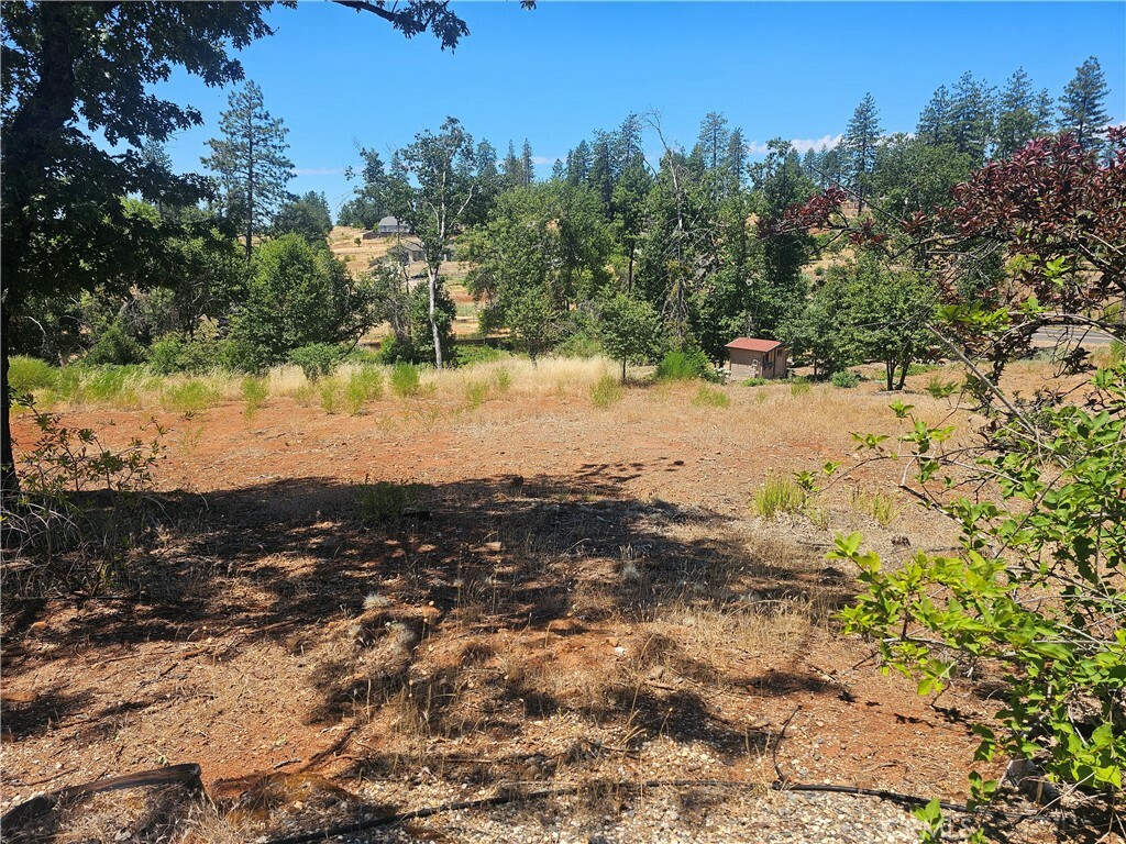 Property Photo:  5247 Falcons View Court  CA 95969 