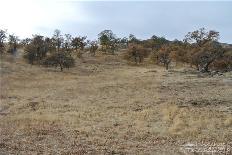 Property Photo:  0 Willow Canyon Rd Lot 42  CA 93561 