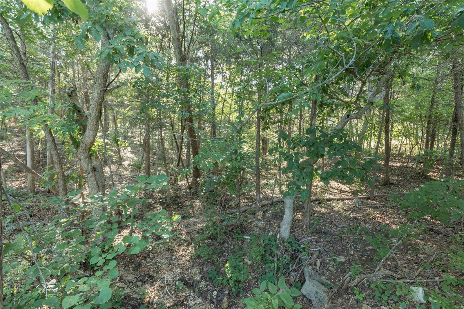 Property Photo:  10449 Lake Crest Drive  MO 63050 