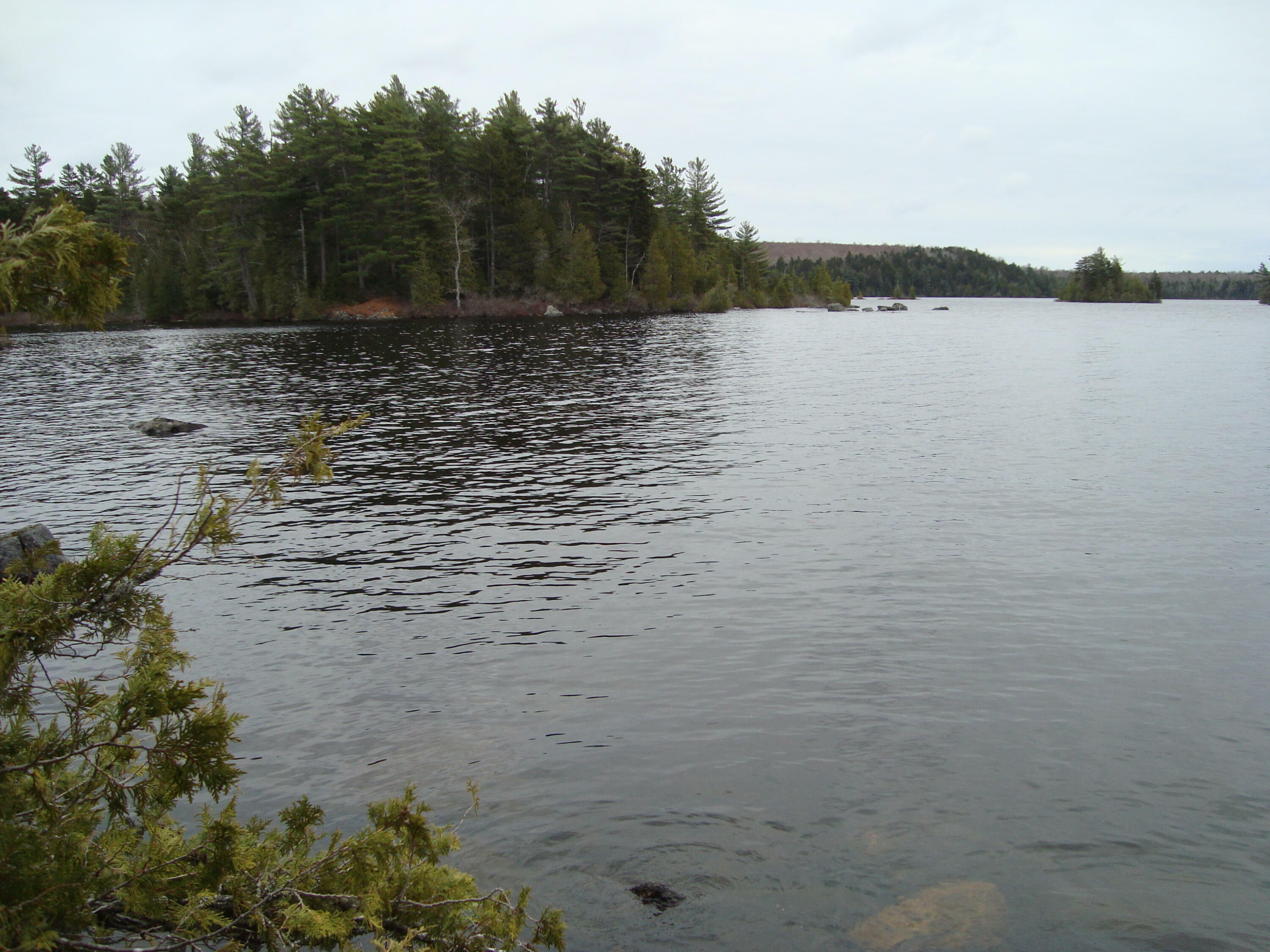 Property Photo:  Lot E Birch Point Road  ME 04657 