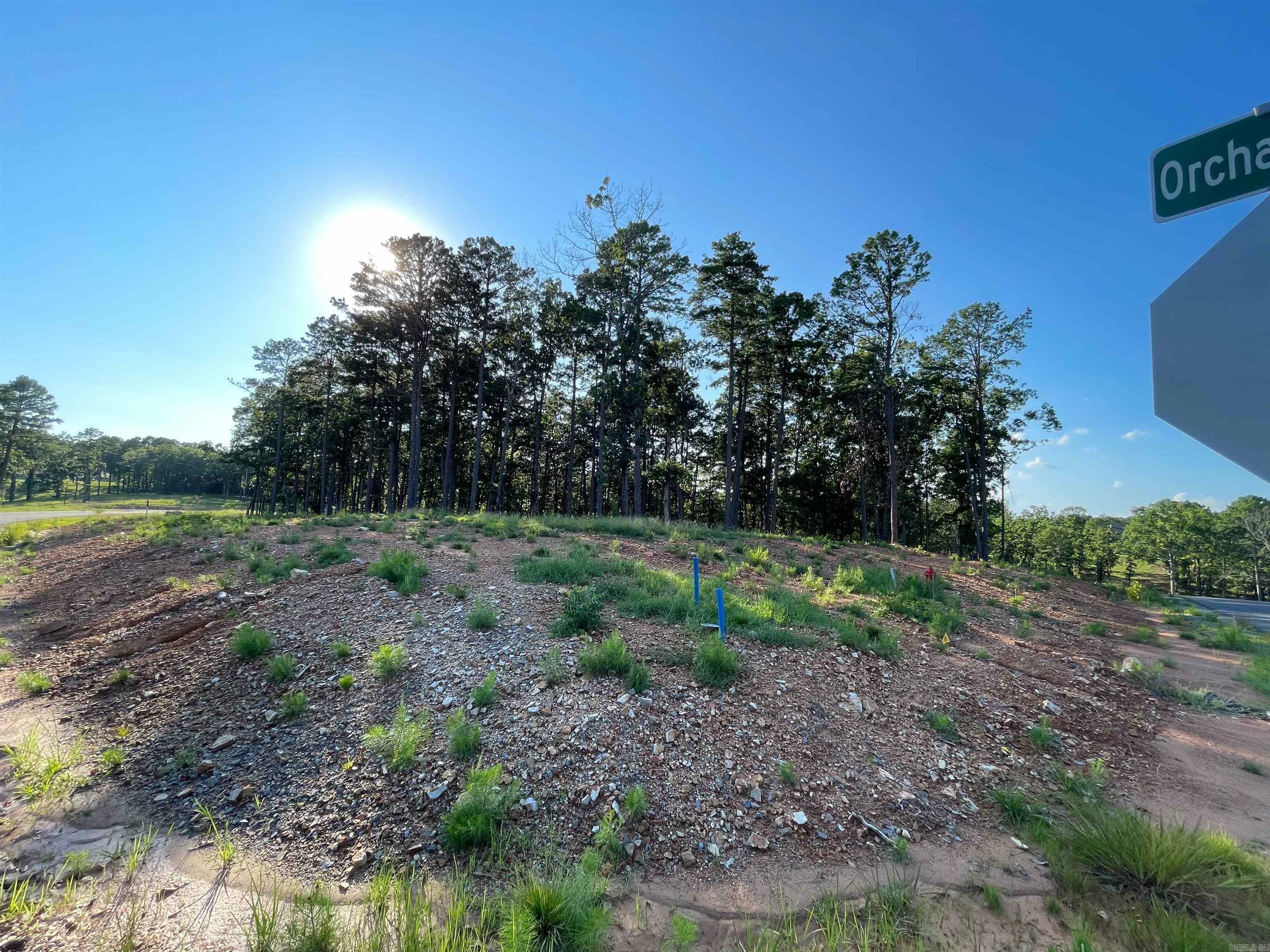 Lot 6 Orchard Hill  Conway AR 72034 photo