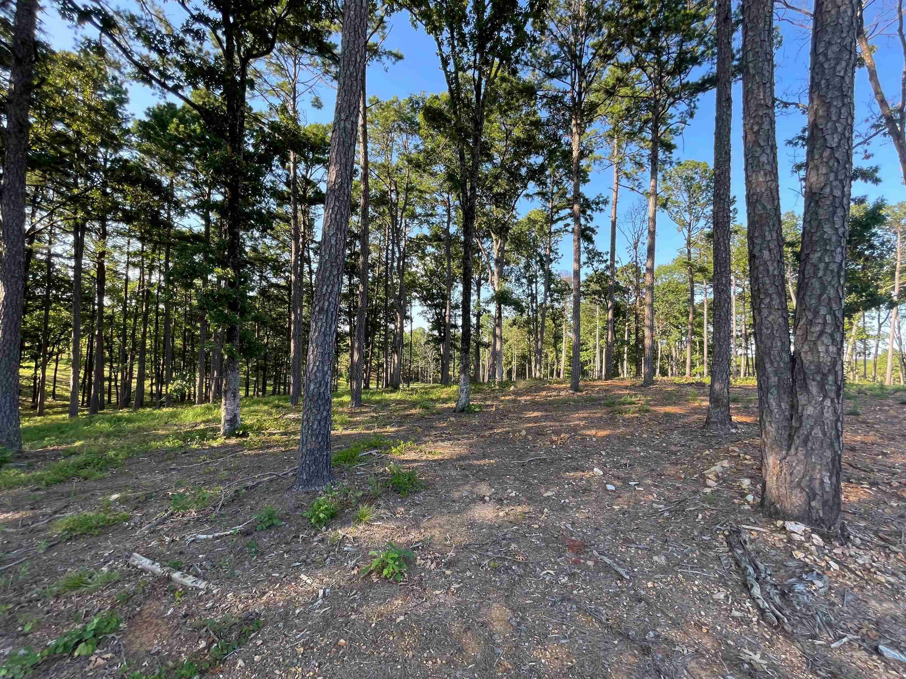 Lot 6 Orchard Hill  Conway AR 72034 photo