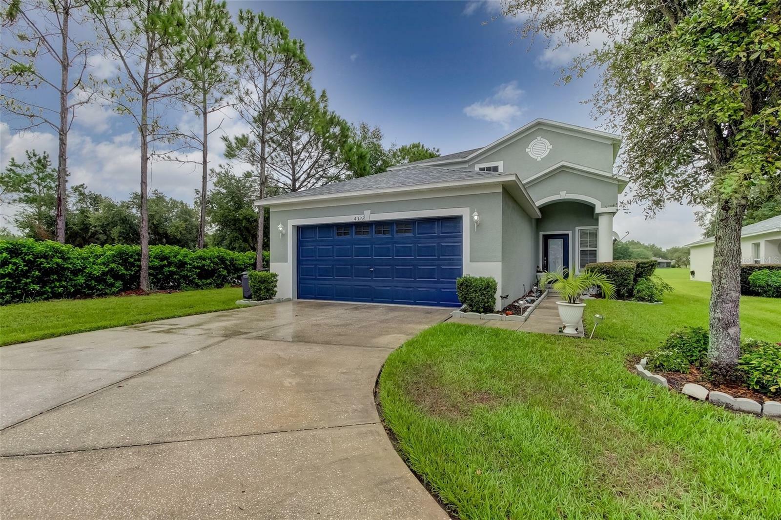 4322 Bethpage Court  Wesley Chapel FL 33543 photo