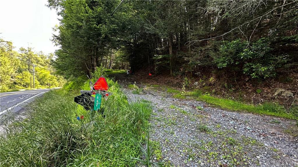 Property Photo:  Ward Brower Jr Dr   Lot 15-2  NY 12719 