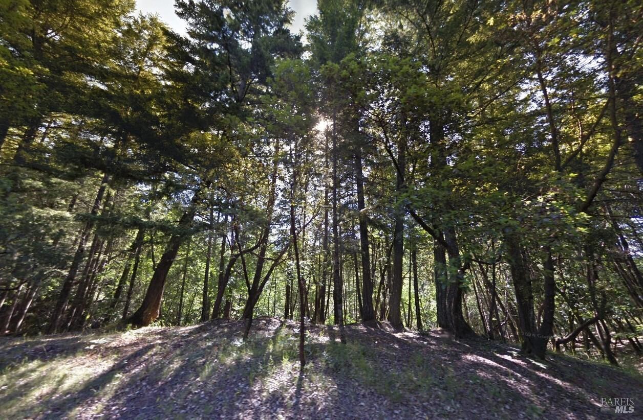 Property Photo:  26891 Mallard Street  CA 95490 